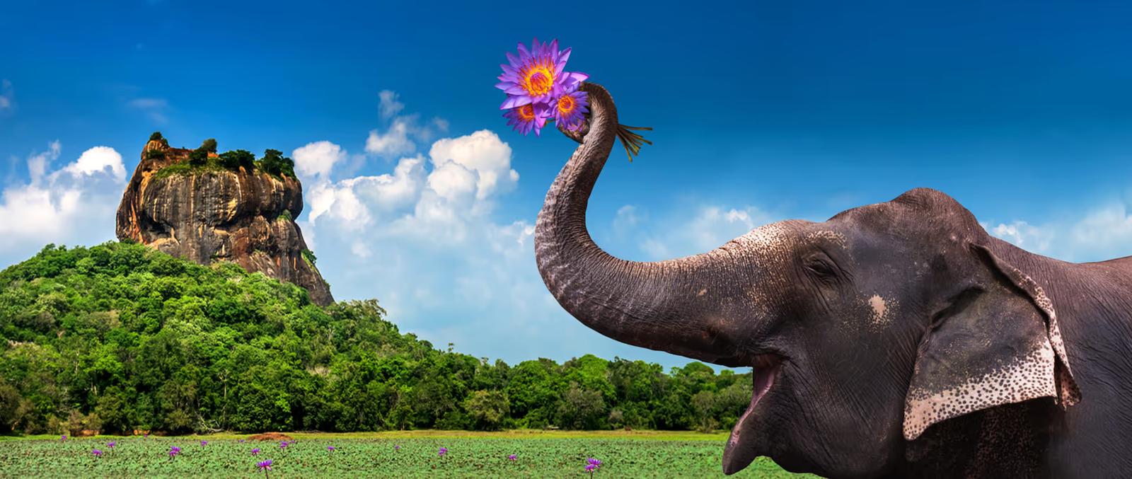 Bally’s Casino Colombo